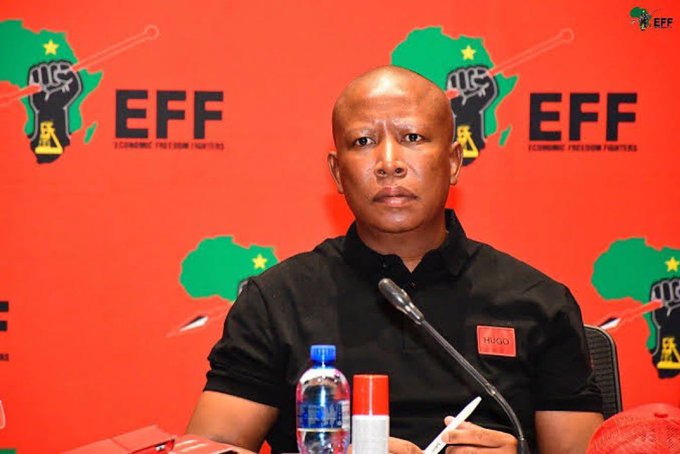 Julius Malema