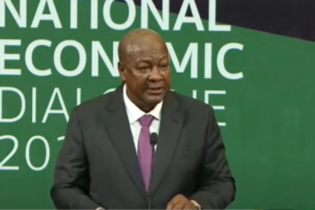 President John Mahama speaking at the National Economic Dialogue