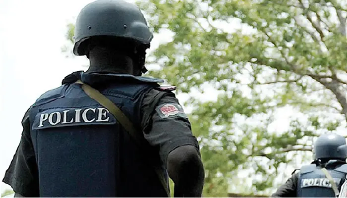 Armed bandits struck northeast Nigeria, killing dozens and rustling livestock
