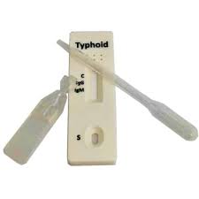 typhoid outbreak